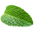 Fruit Glyph 1