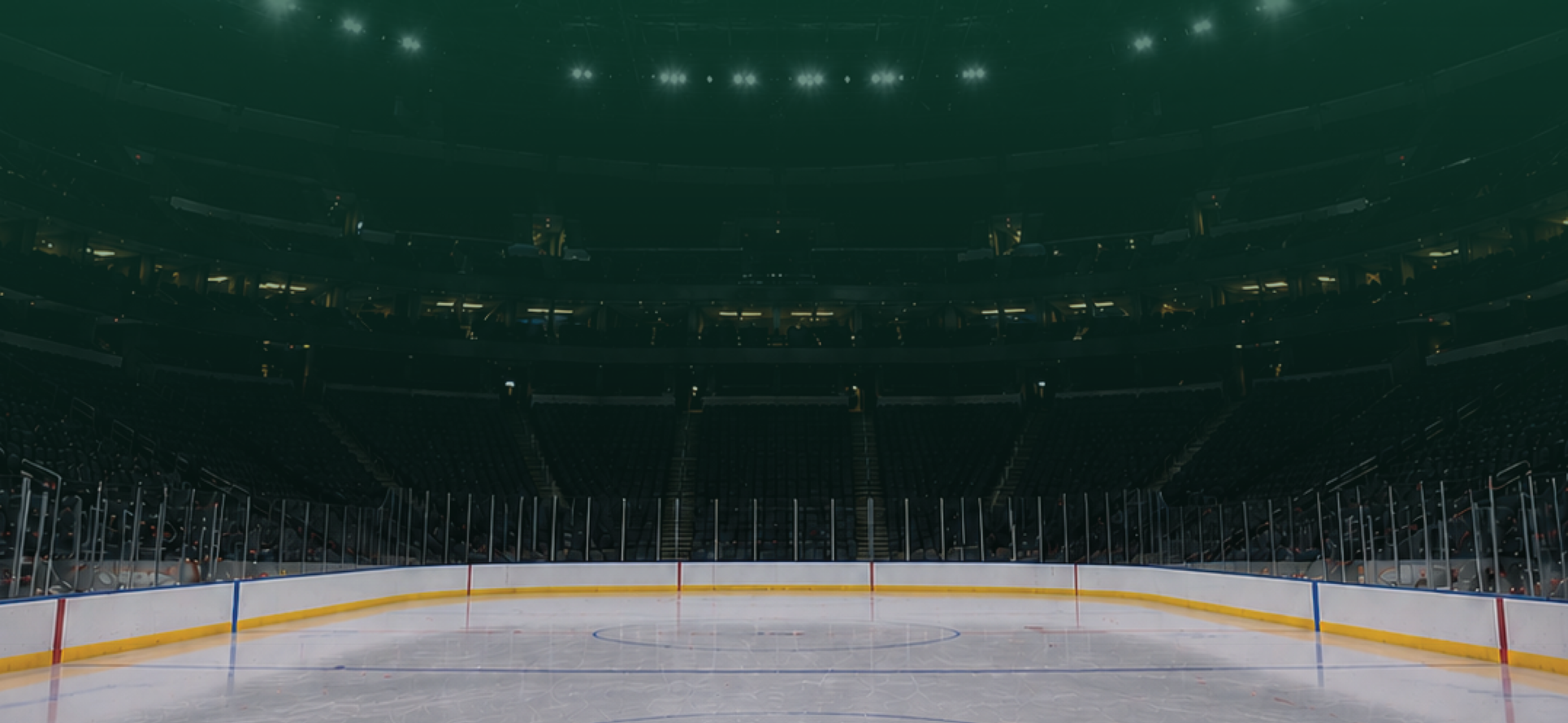 Winter Campaign Background